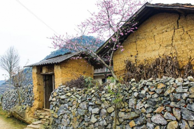 Homie Homestay - Ha Giang