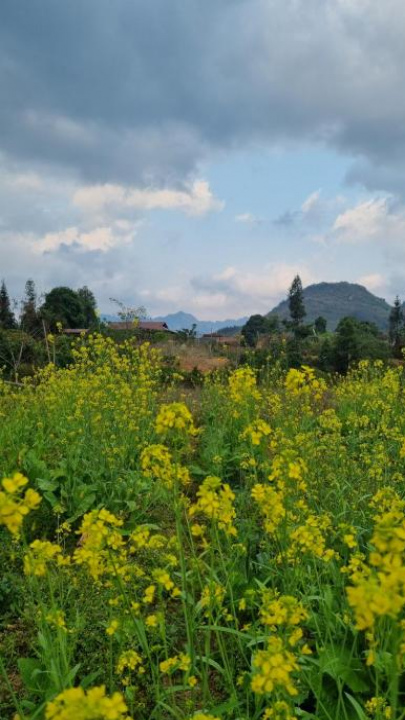 Huy homestay-tốt nhất nặm đăm - 河江