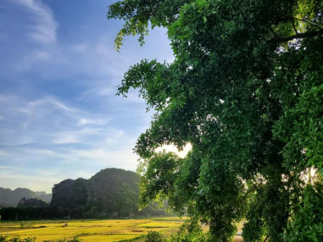 Bamboo Hill Villa - Ninh Binh