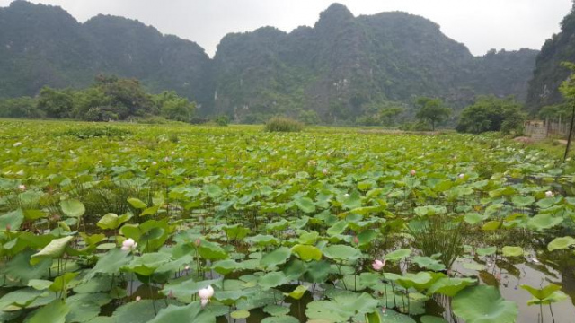 Haolu Backpackers Hostel - Ninh Binh
