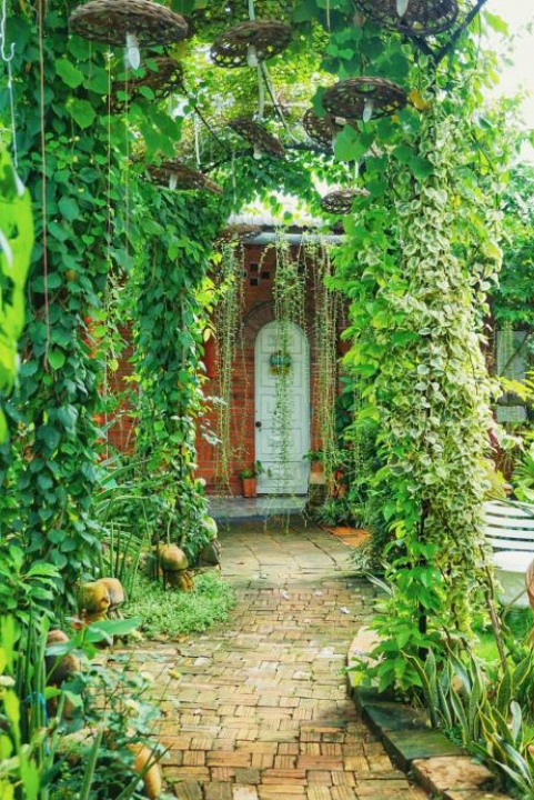 Mekong Pottery Homestay, Green-Friendly & Boat Tour - Vinh Long