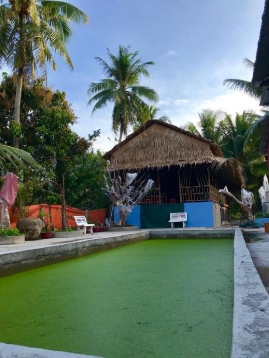 Miss Hai Homestay (Duong Duong House) - Vinh Long