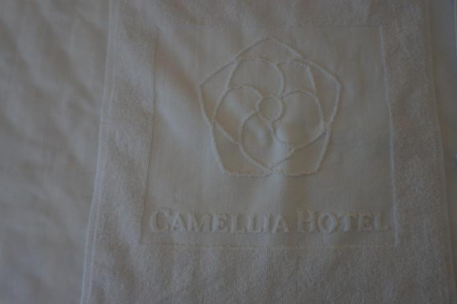 Camellia Hotel - Thanh Hoa