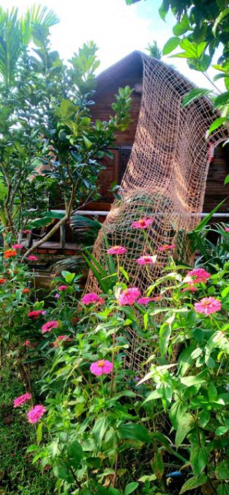 Hong thai River side homestay - 槟椥