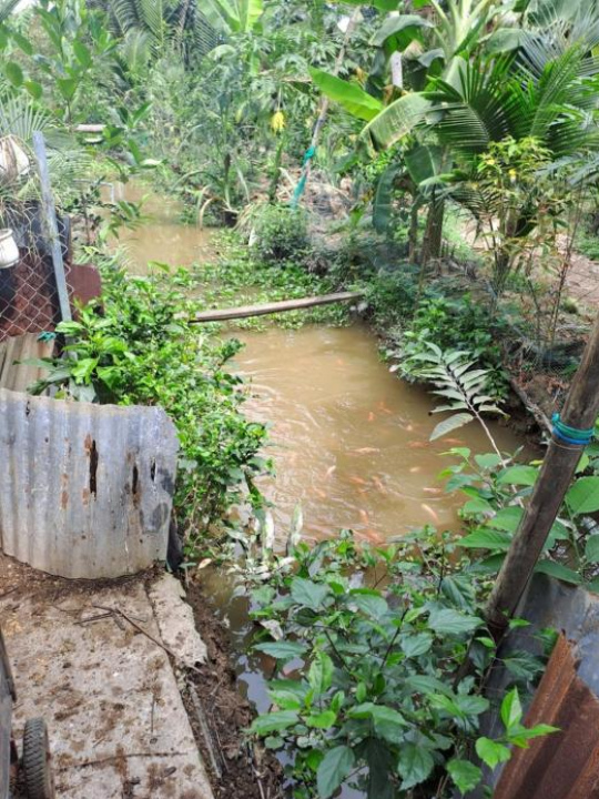 Lime Homestay - Ben Tre