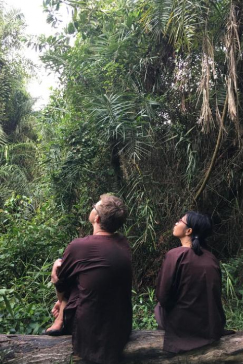 Hải Vân Farm - Vàm Hồ Bird Sanctuary - Ben Tre