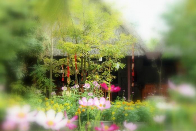 Thach Thao Homestay - Tien Giang