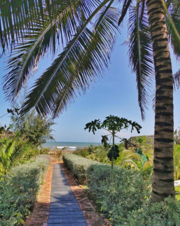 Green Organic Villa Hotel