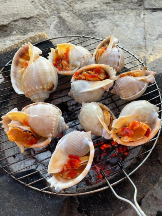 Lê Huỳnh Guest House Family - 平順