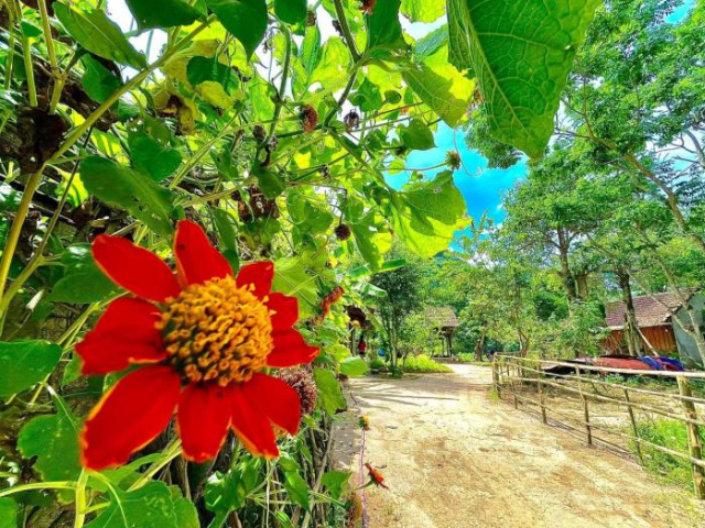 Little Rock Homestay - Quang Binh