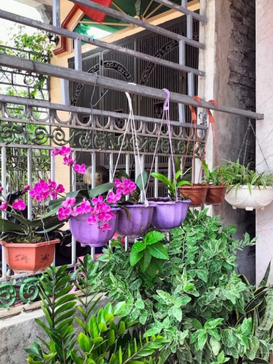 40640-2723409