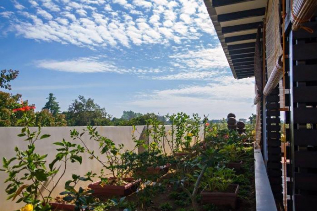 Globetrotter Inn - Palawan Inc. - Puerto Princesa