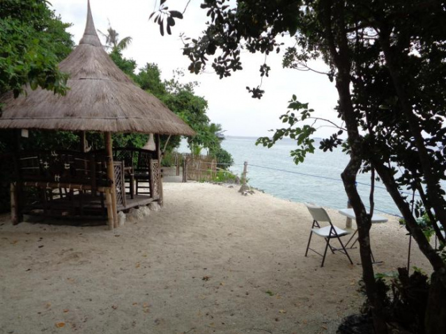 Sea Turtle House Moalboal - Moalboal