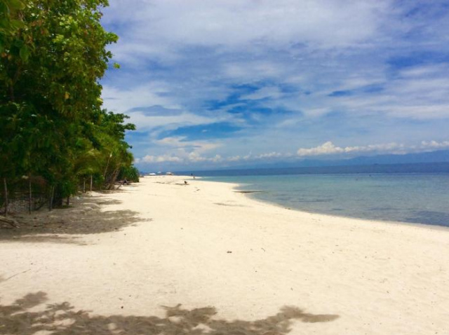 Ravenala Beach Bungalows - Moalboal