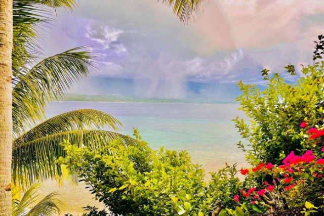 La Concepcion Cove Garden Resort - Moalboal