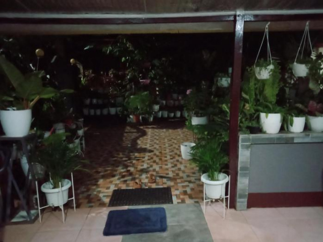 Dalindas Homestay - Palawan