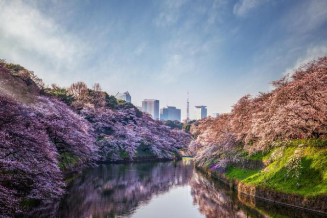 Four Seasons Hotel Tokyo at Otemachi - Tokyo