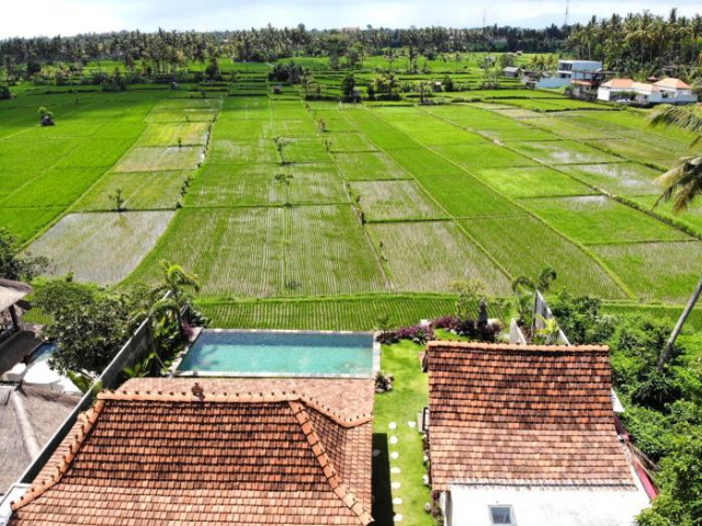 Incredible View, Traditional Villa, 3BR, Ubud - Ubud
