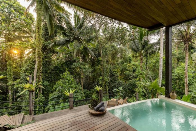 Casa Pohon Ubud - Ubud