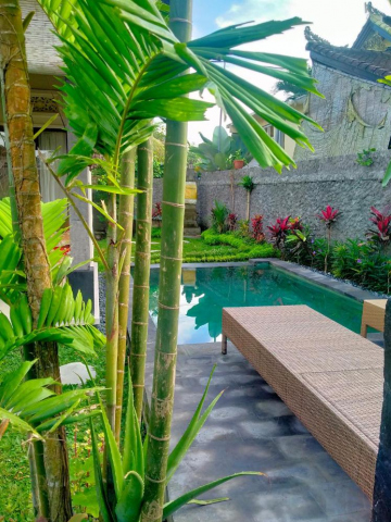 WITA HOUSE