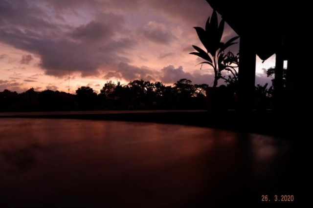 Danasari Homestay Inn - Ubud