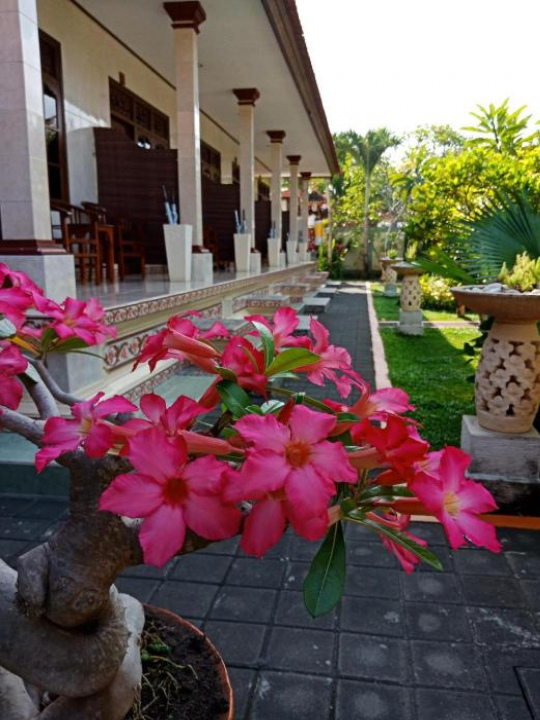 Frangipani Homestay - Nusa Dua
