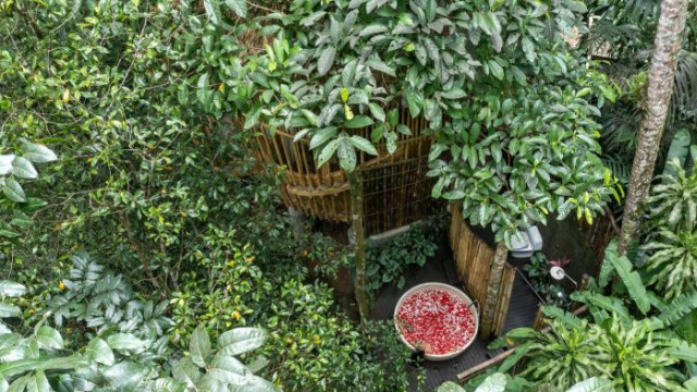 Amarta Pesagi Retreat - Bali