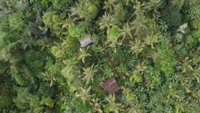 Bali Mountain Forest Cabin - Bali