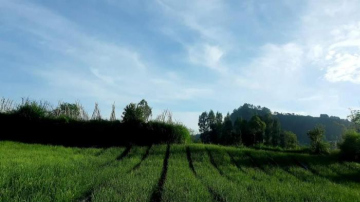 Villa Danu