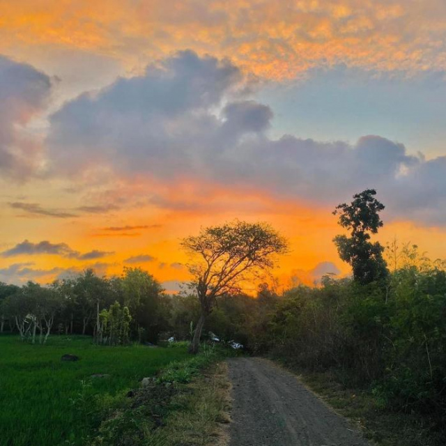 Tommy Homestay - Lombok