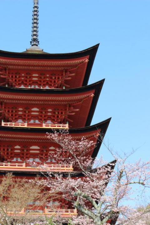 Guesthouse COCO Hiroshima (Female Only) - Hiroshima