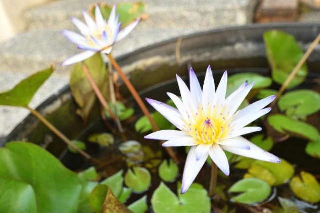 Wangfeng Xixin Homestay - Kaohsiung