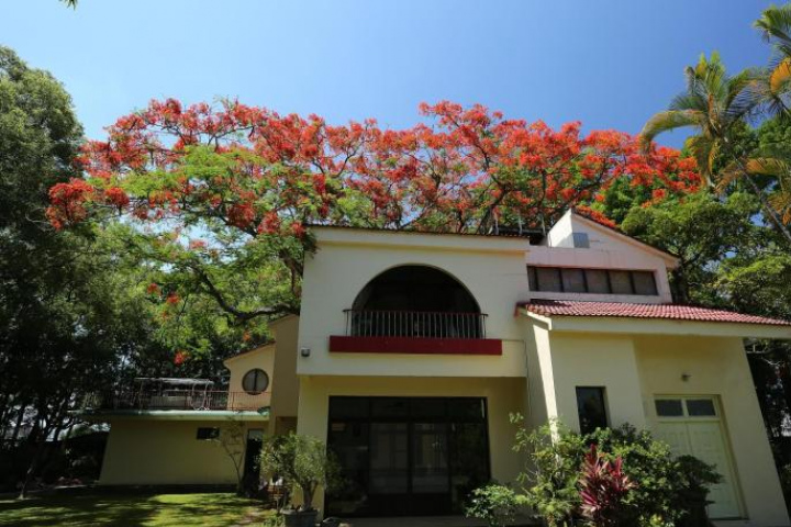 Image Alt