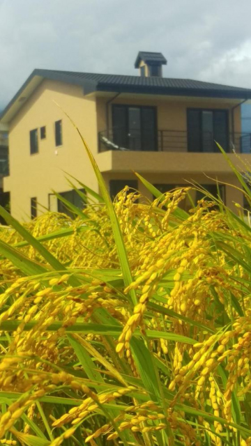 Chishang Feixiang Homestay