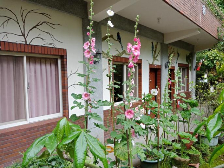 Image Alt