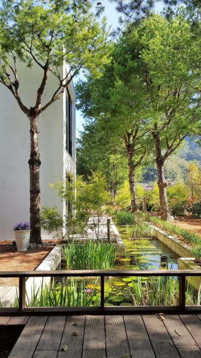 Aroundthetree Hermitage - Miaoli County