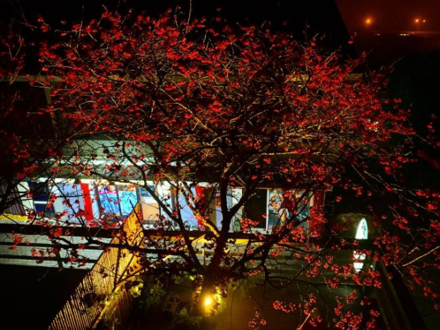 Sanyi Wei Wei Feng B&B - Miaoli County