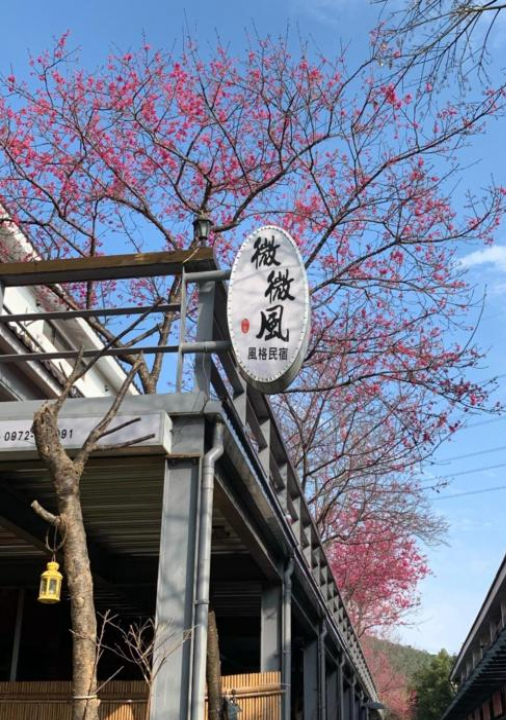 Sanyi Wei Wei Feng B&B - Miaoli County