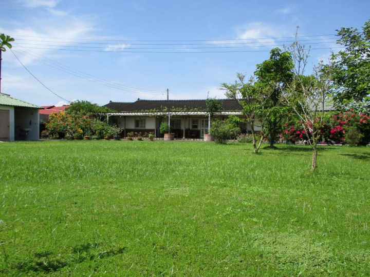 Image Alt