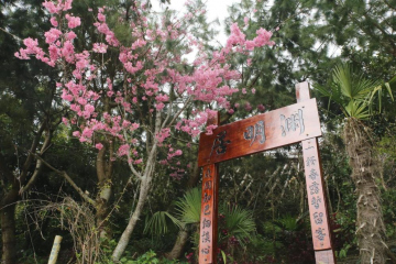 Alishan B&B YunMinGi