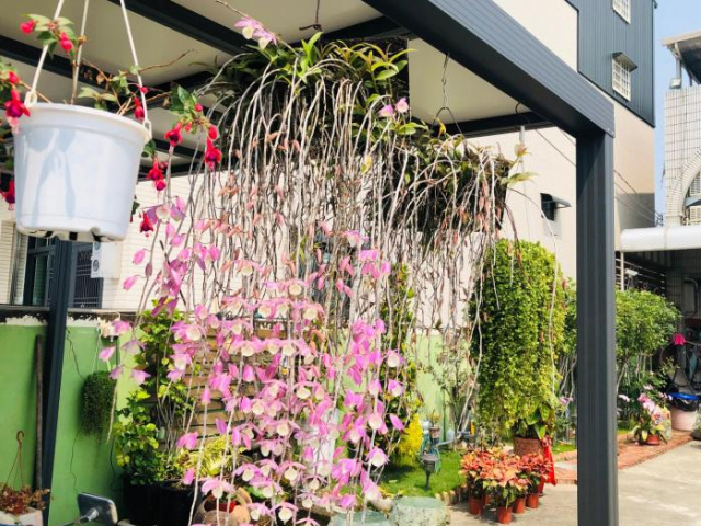 Fu Courtyard Homestay - Chiayi County