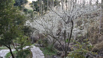 Zhaoyue Homestay