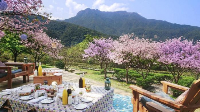 陽明山天籟渡假酒店 - 新北市