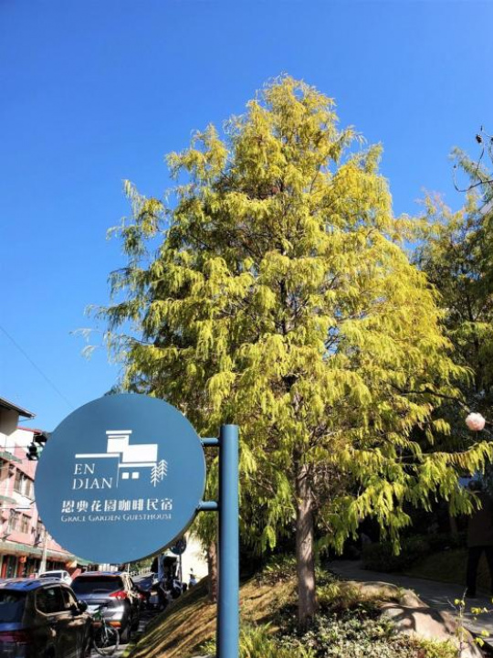 Grace Garden Coffee Homestay - Nantou County