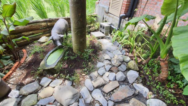 Boge Maodian DianDian Hostel - Nantou County