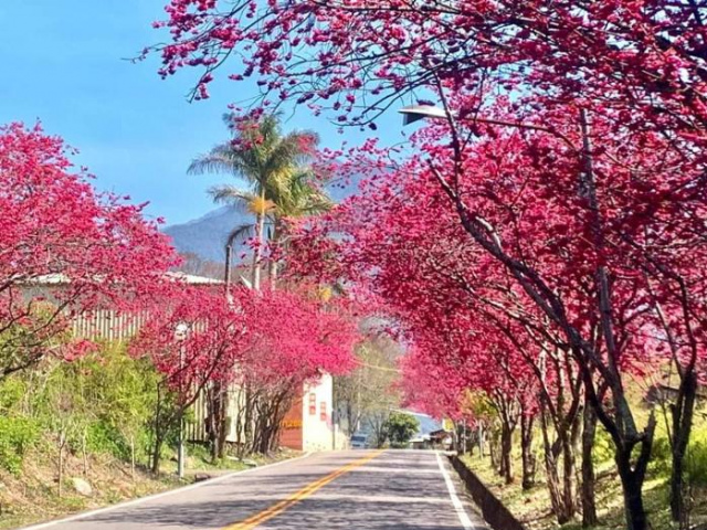 Lameizi Duorou Coffee Homestay - Nantou County