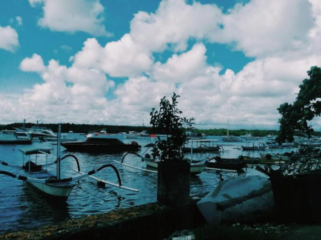 Turtle Island Homestay - Sanur