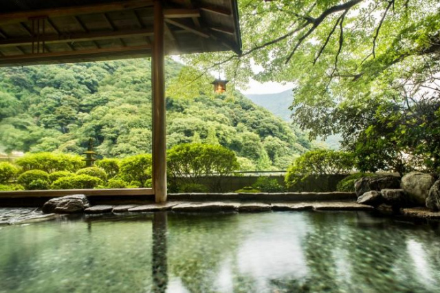 Yamagaso - Hakone