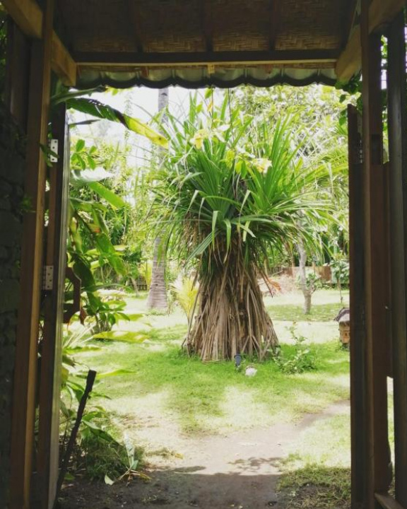 Tanga Bungalow - Lombok