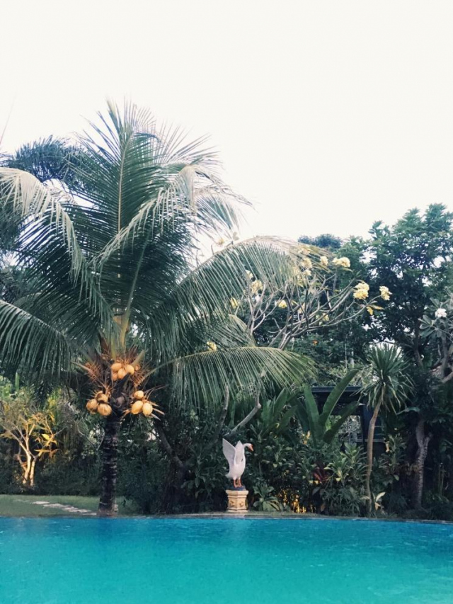 SDK Homestay Uluwatu - Uluwatu